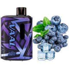 Фото VAAL E5000 Joyetech Чорниця (Blueberry Ice) 5% 650 mAh