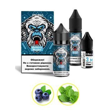 Фото Комплект FL350 30 мл FlavorLab Blueberry Menthol