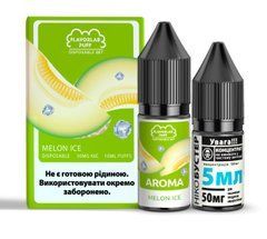 Фото Комплект PUFF SALT 50 мг 10 мл FlavorLab Диня з льодом